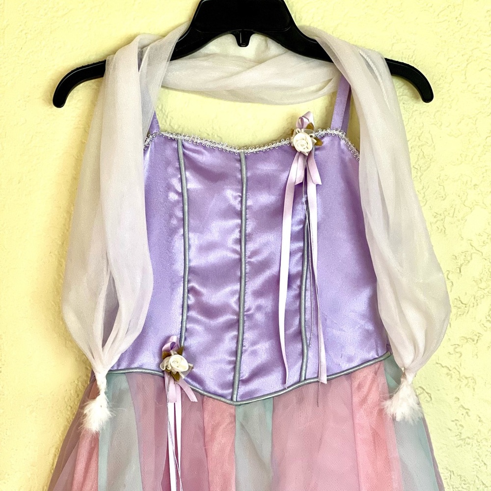 Princess costume